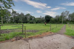 Paddock- click for photo gallery